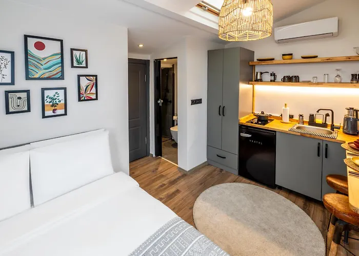 Mariposa Taksim 4* イスタンブール